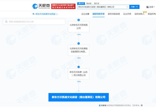 新東方文旅在煙臺成立新公司，聚焦計算機網絡信息及軟件技術開發